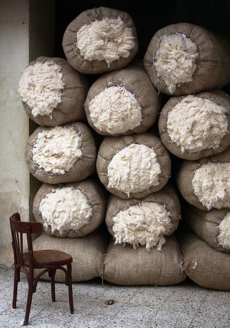 8a2afc83c1d980383224773f7d9e1b4f