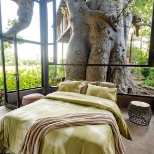 COLLECTION COZY TERANGA